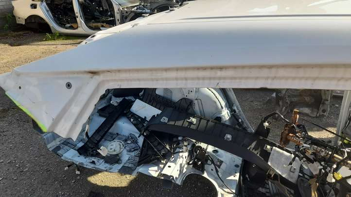 Toyota Prius (XW50) (2015 - )   Крыша