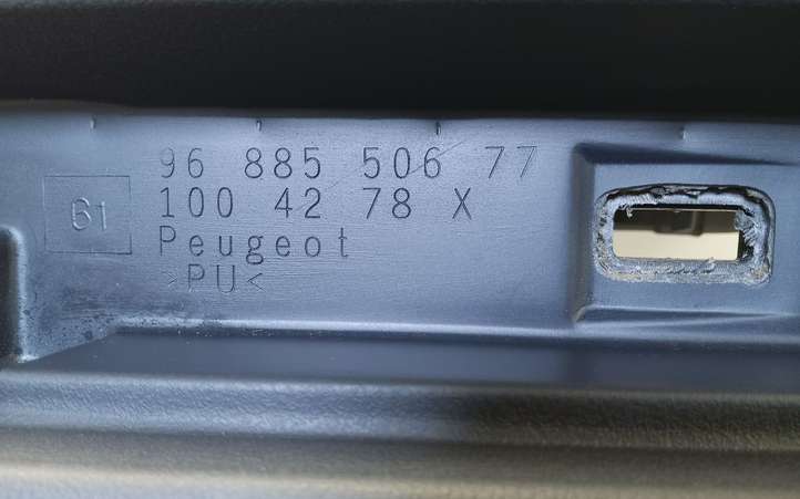 Peugeot 508 (2010 - 2014)  9688550677 Панель