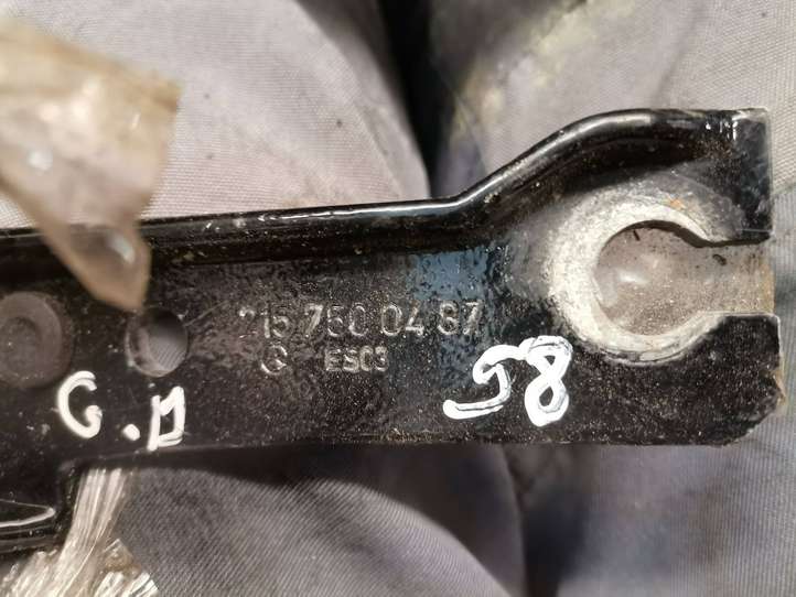 Mercedes-Benz CL C215 (2000 - 2006)  2157500487 Петля (петли) задней крышки