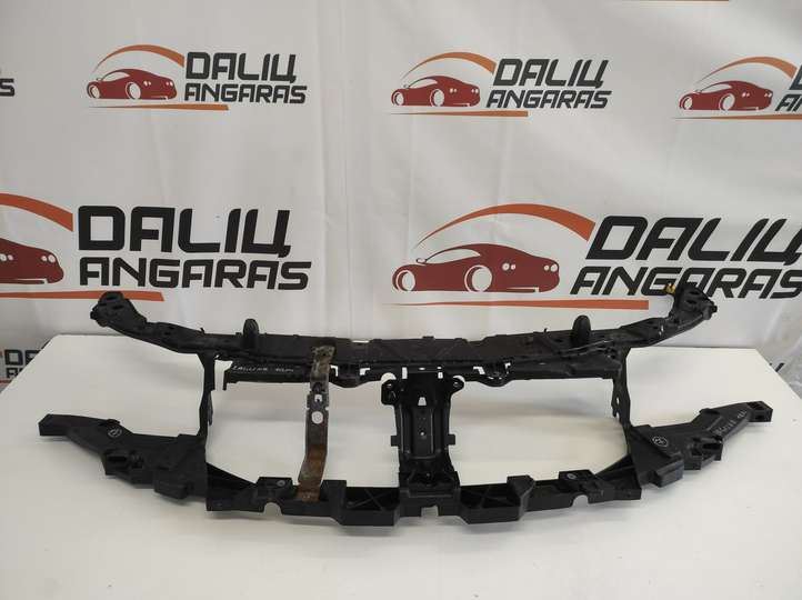 Renault Laguna (2007 - 2015)  625100001R Панель