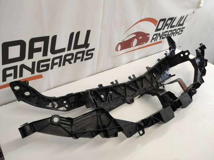 Renault Laguna (2007 - 2015)  625100001R Панель