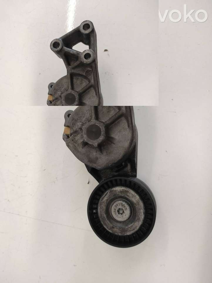 Volkswagen Golf IV (1998 - 2005)  038903315F Устройство натяжки ремня