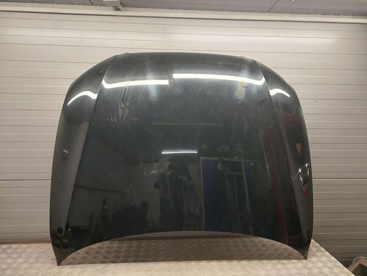 Audi S5 8T (2007 - 2011)  079010533AA Капот