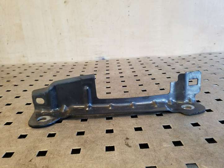 Citroen C4 Picasso (2006 - 2013)  04EG Держатель крыла