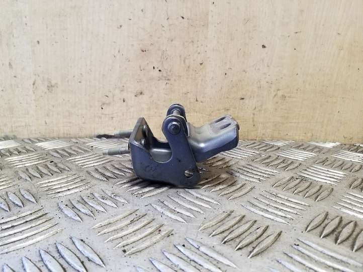 Citroen C4 Picasso (2006 - 2013)  30003553 Петля (петли) задней крышки