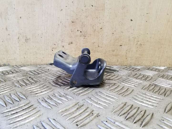 Citroen C4 Picasso (2006 - 2013)  30003553 Петля (петли) задней крышки