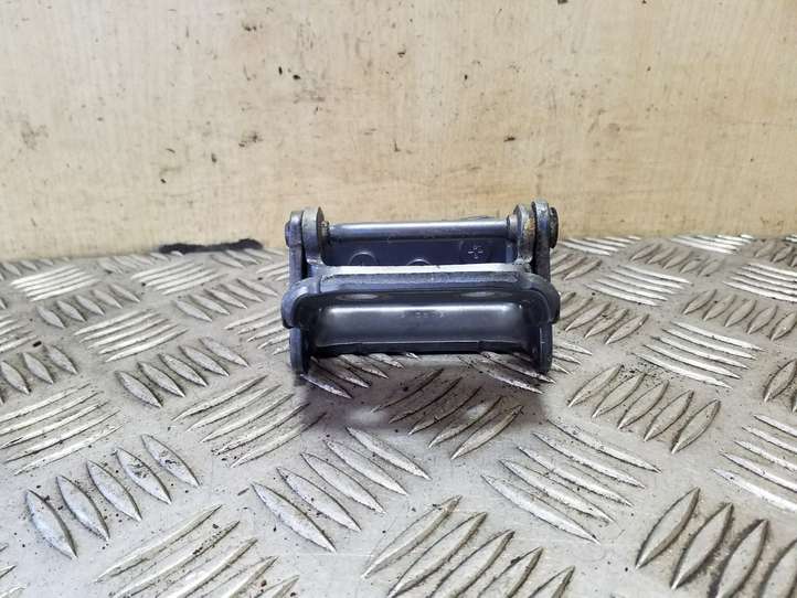 Citroen C4 Picasso (2006 - 2013)  30003553 Петля (петли) задней крышки