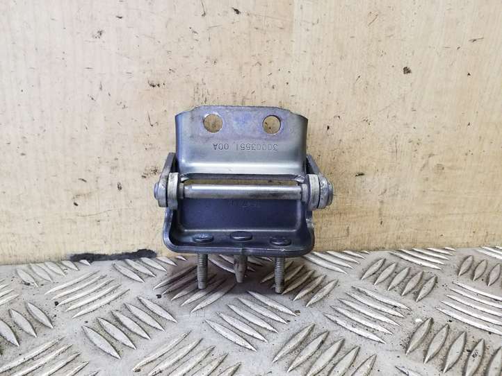 Citroen C4 Picasso (2006 - 2013)  30003551 Петля (петли) задней крышки