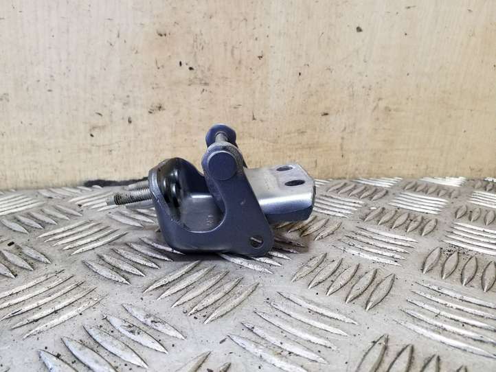 Citroen C4 Picasso (2006 - 2013)  30003551 Петля (петли) задней крышки