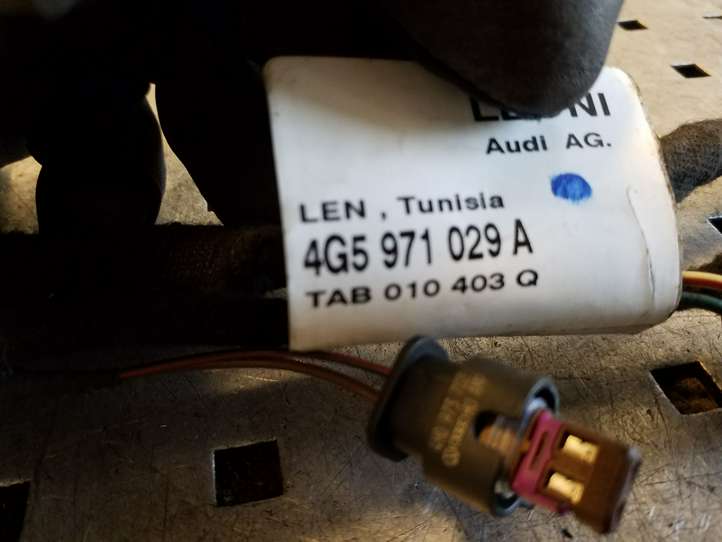 Audi A6 (2011 - 2014)  4G5971029A Проводка передних дверей