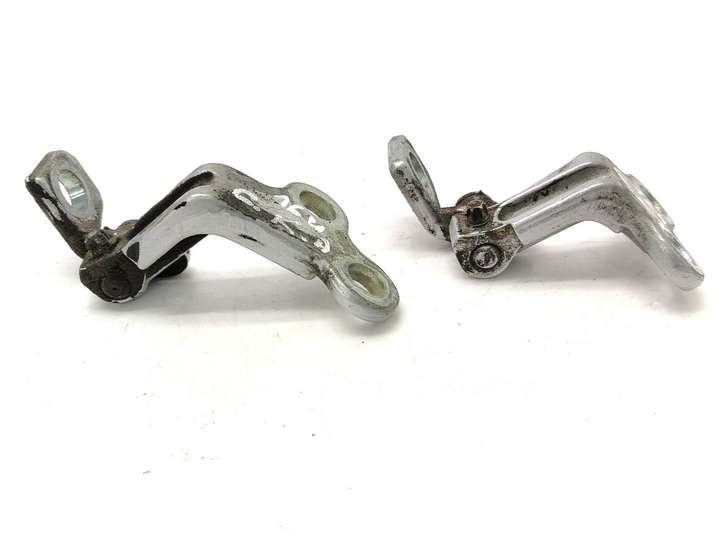 Jaguar X-Type (2001 - 2008)  1X4AF22801  Комплект петель задней двери