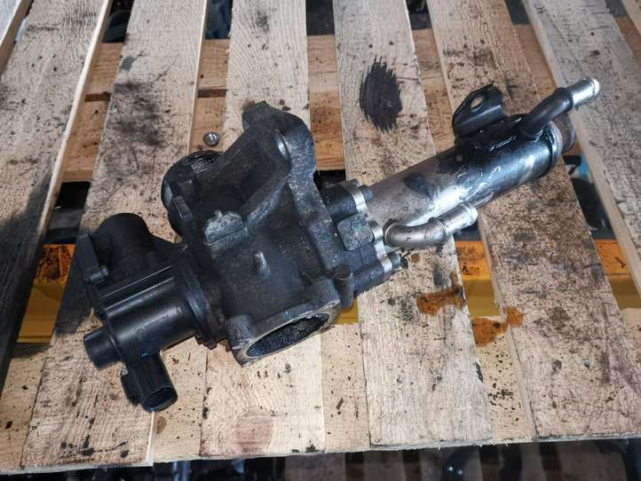 Volvo V70 (2004 - 2007)  30774812 Клапан EGR