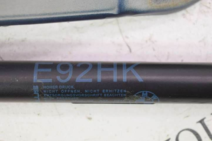 BMW 3 E90 E91 (2005 - 2012)  7060628 Петля (петли) задней крышки