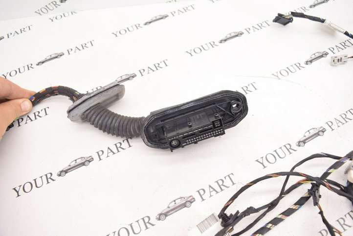 BMW X3 F25 (2010 - 2017)  9243654 Проводка передних дверей