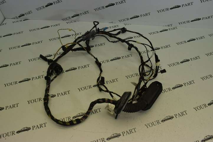 BMW X3 F25 (2010 - 2017)  9243663 Проводка передних дверей