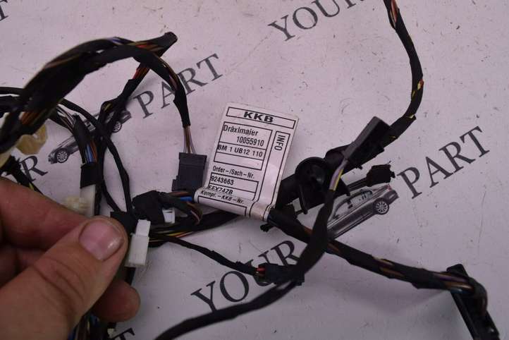 BMW X3 F25 (2010 - 2017)  9243663 Проводка передних дверей