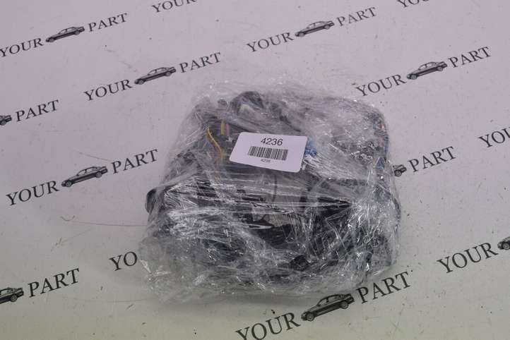 BMW X1 F48 F49 (2015 - 2022)  8797552 Проводка передних дверей