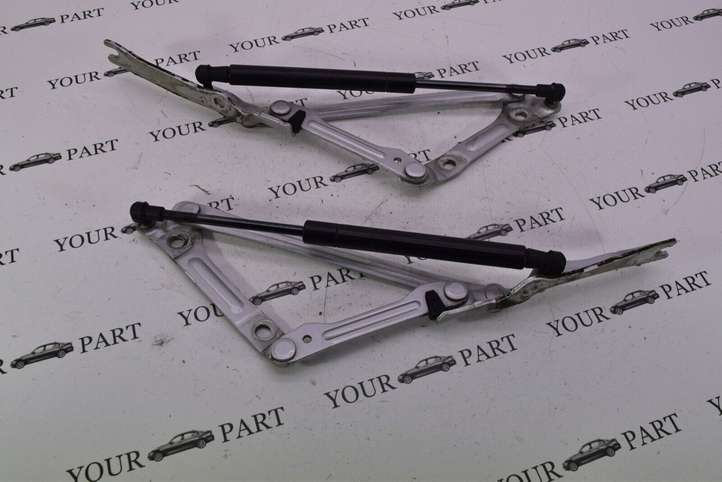 Lexus GS 300 350 430 450h (2004 - 2007)  645300W090 Петля (петли) задней крышки