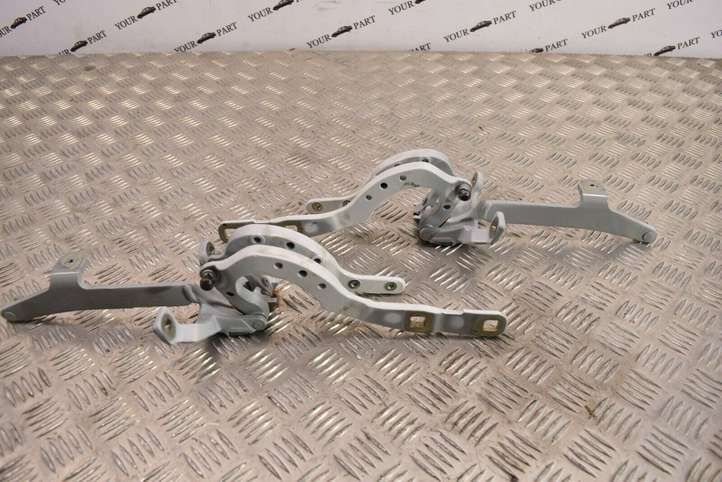 BMW 5 F10 F11 (2009 - 2016)  7206639 Петля (петли) задней крышки