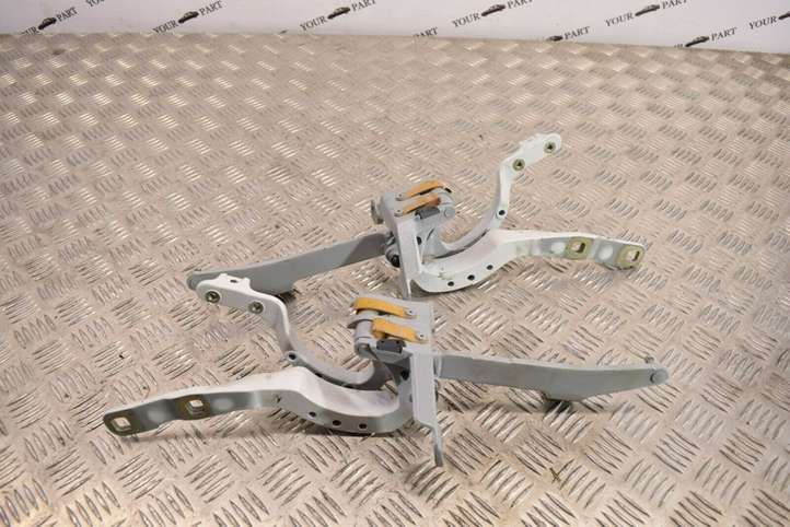 BMW 5 F10 F11 (2009 - 2016)  7206639 Петля (петли) задней крышки