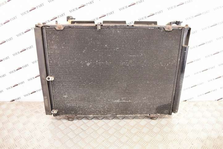 Lexus RX 300 (2003 - 2006)  4227501710 Комплект радиаторов