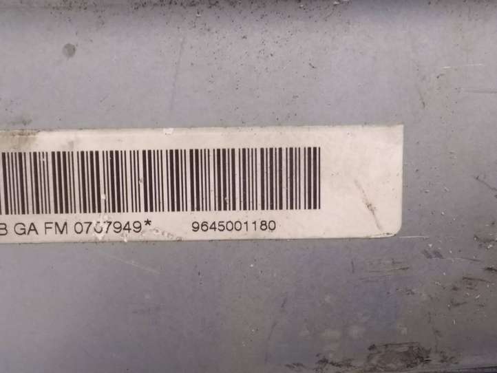 Peugeot 307 (2001 - 2005)  9645001180 Подушка безопастности пассажира