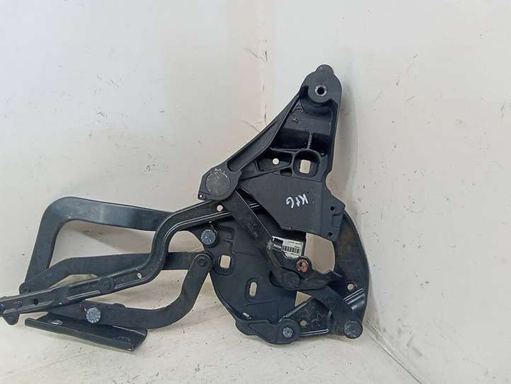 Audi A5 (2007 - 2011)  8F0871349D Звукоизоляция крыши