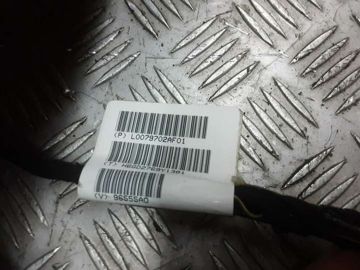 Chrysler Town and Country (2010 - 2016)  0ZU091W1AC Потолок