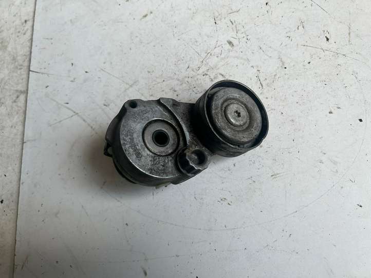 Opel Zafira (2006 - 2008)  55556090AZ Устройство натяжки ремня