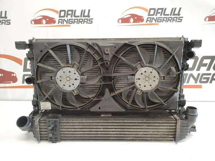 Renault Laguna (2007 - 2015)  0130307020 Комплект радиаторов
