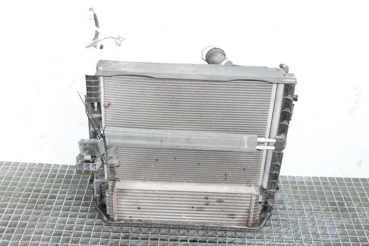BMW X5 E70 (2006 - 2013)  7586775 Комплект радиаторов