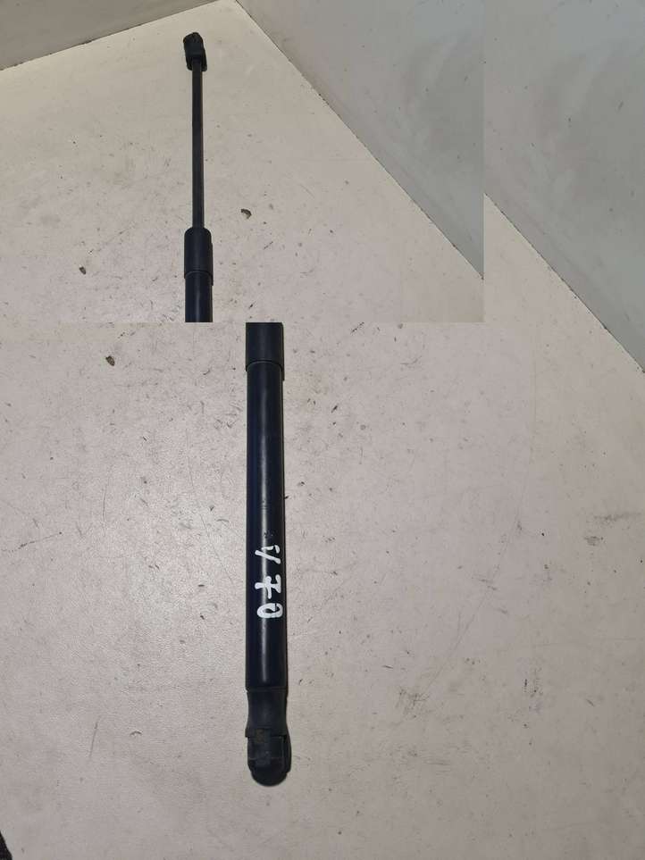 BMW X5 E70 (2006 - 2013)  7148346  Амортизатор капота