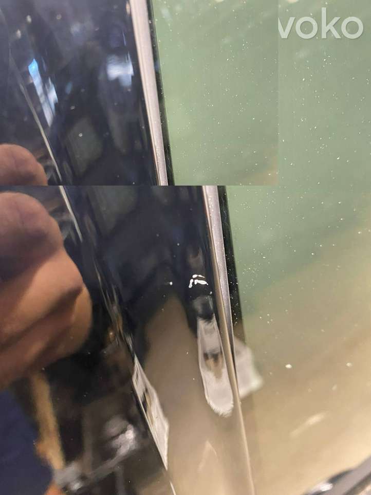 Dodge Ram (2008 - )   Задняя дверь