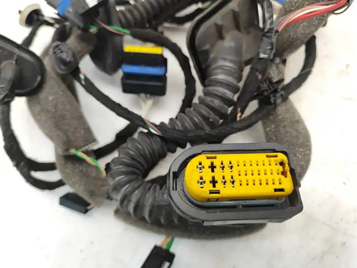 Renault Laguna (2007 - 2015)  241264112R Проводка задних дверей