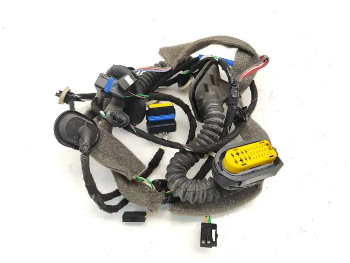 Renault Laguna (2007 - 2015)  241264112R Проводка задних дверей