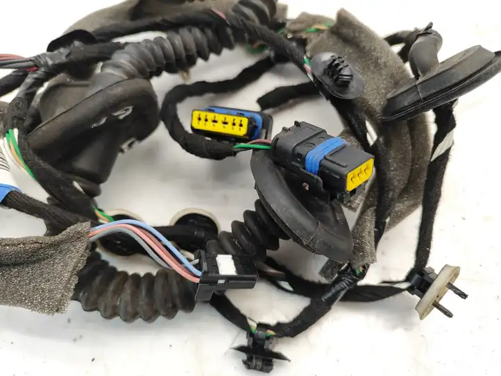 Renault Laguna (2007 - 2015)  241264112R Проводка задних дверей