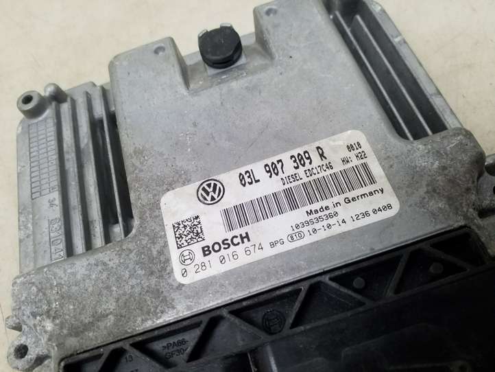 Volkswagen Golf VI (2009 - 2013)  03L907309R Блок управления двигателя