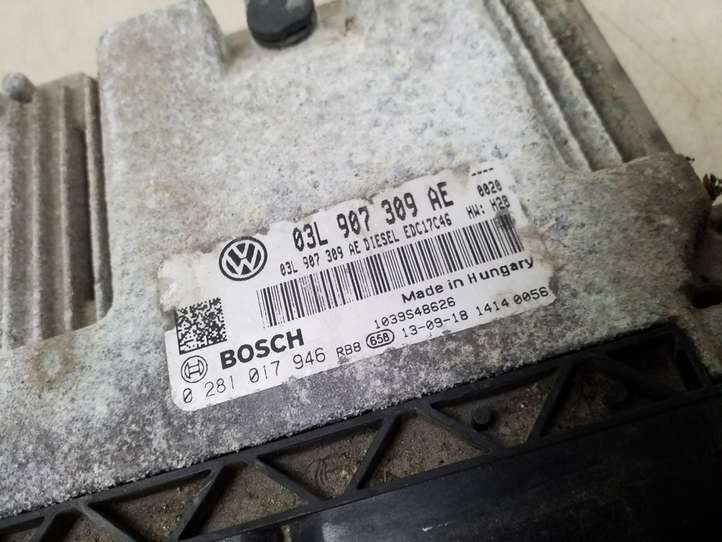 Volkswagen PASSAT B7 (2011 - 2014)  03L907309AE Блок управления двигателя