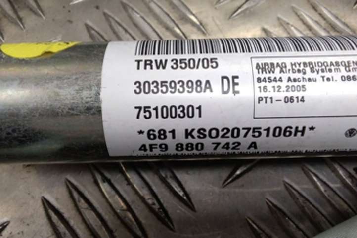 Audi A6 (2004 - 2008)  30359398A Звукоизоляция крыши