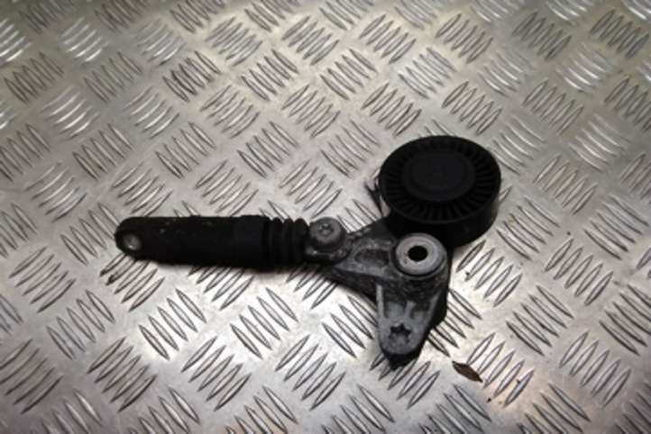 Audi A6 (2004 - 2008)  059145201E Устройство натяжки ремня
