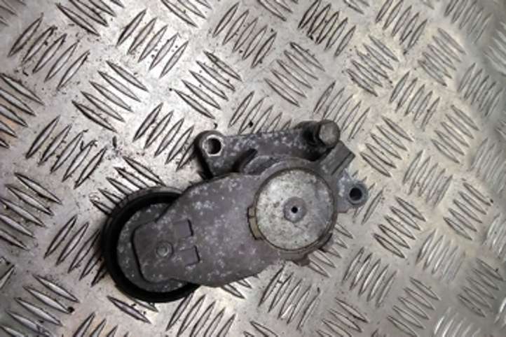 Citroen C4 Picasso (2006 - 2013)  TF049 Устройство натяжки ремня
