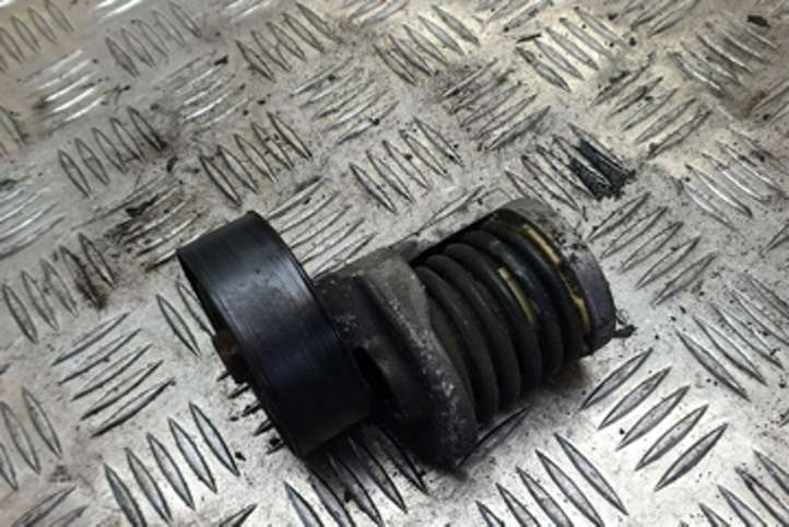 Skoda Octavia Mk2 (1Z) (2004 - 2013)  038903315 Устройство натяжки ремня