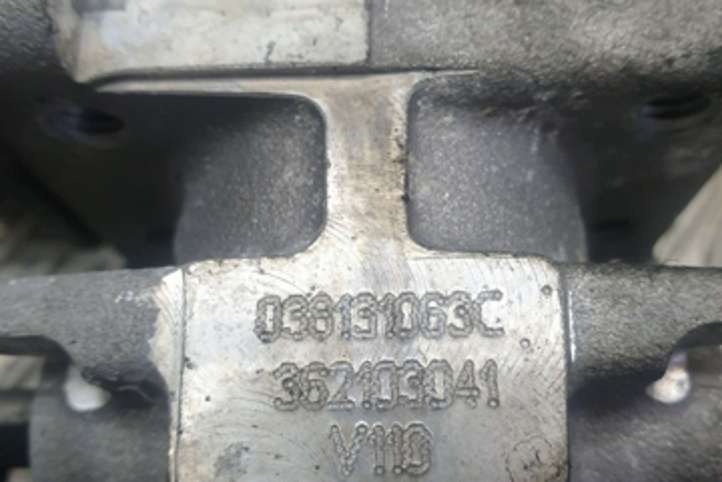 Volkswagen Golf IV (1998 - 2005)  033131063C Клапан EGR