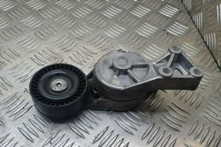 Ford Galaxy (2000 - 2006)  21746 Устройство натяжки ремня