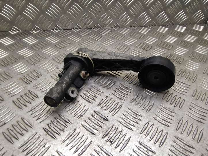 Peugeot 207 (2006 - 2009)  75710158003 Натяжитель ремня генератора
