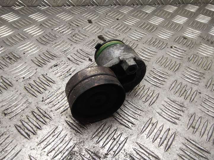 Renault Megane II (2002 - 2005)  071402627000 Устройство натяжки ремня