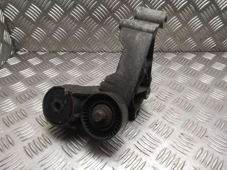 Ford Transit Connect (2002 - 2009)  1S4Q6A228AF Устройство натяжки ремня