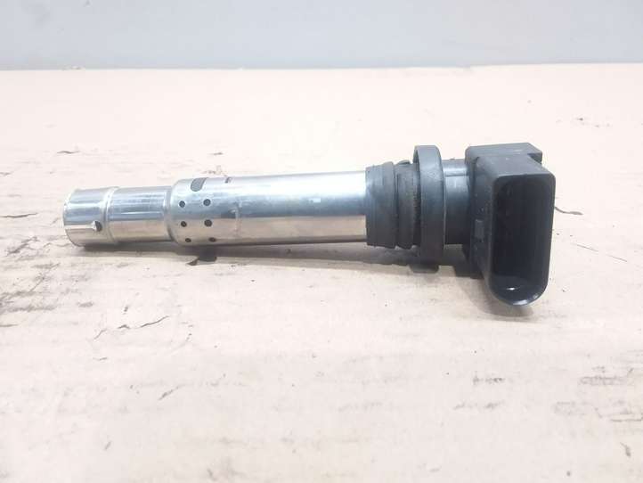 Volkswagen Golf V (2003 - 2009)  036905715E Реле высокого напряжения (катушка зажигания, бобина)