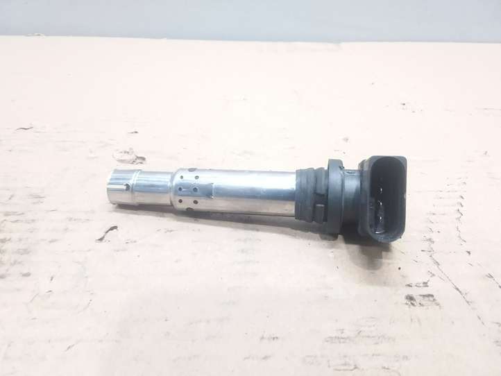 Volkswagen Golf V (2003 - 2009)  036905715E Реле высокого напряжения (катушка зажигания, бобина)