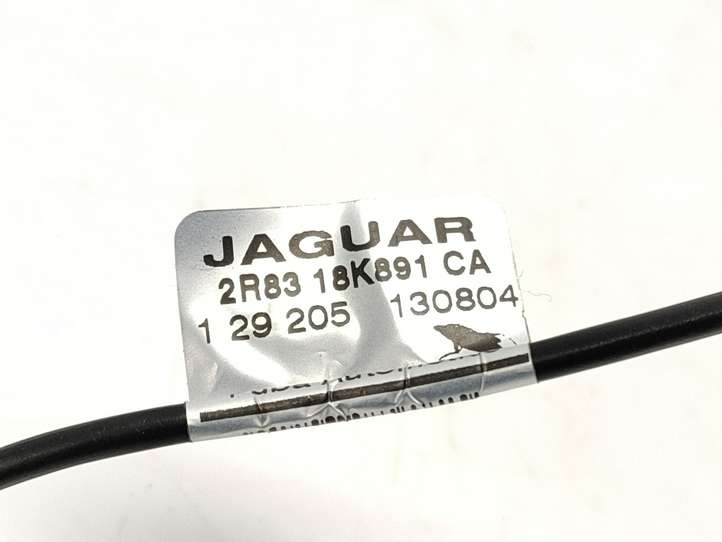 Jaguar S-Type (1999 - 2004)  2R8318K891CA Другой проводник